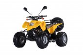 Access Xtreme Mini 100