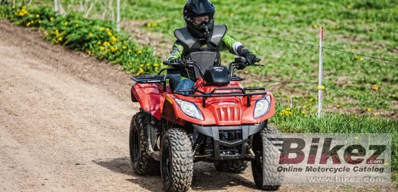 Arctic Cat 150