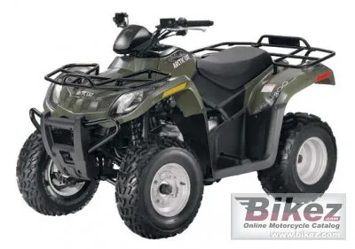 Arctic Cat 300