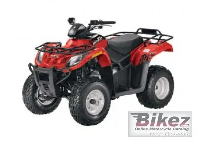 Arctic Cat 300