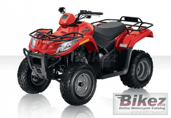 Arctic Cat 300