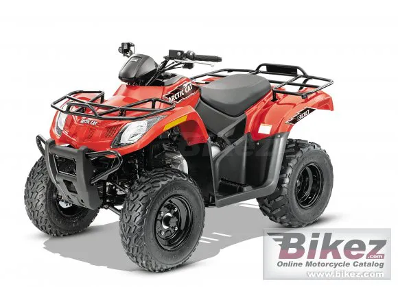 Arctic Cat 300