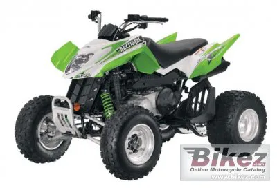 Arctic Cat 300 DVX