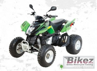 Arctic Cat 300 DVX