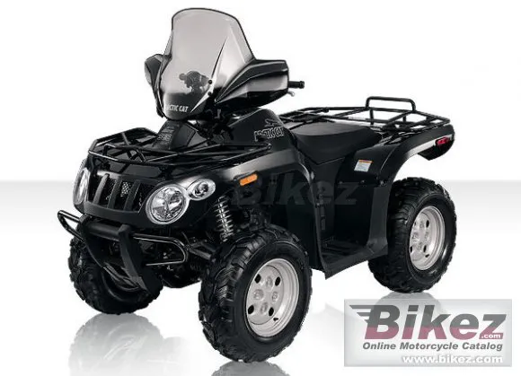 Arctic Cat 366 SE