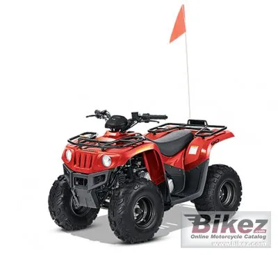 Arctic Cat 90