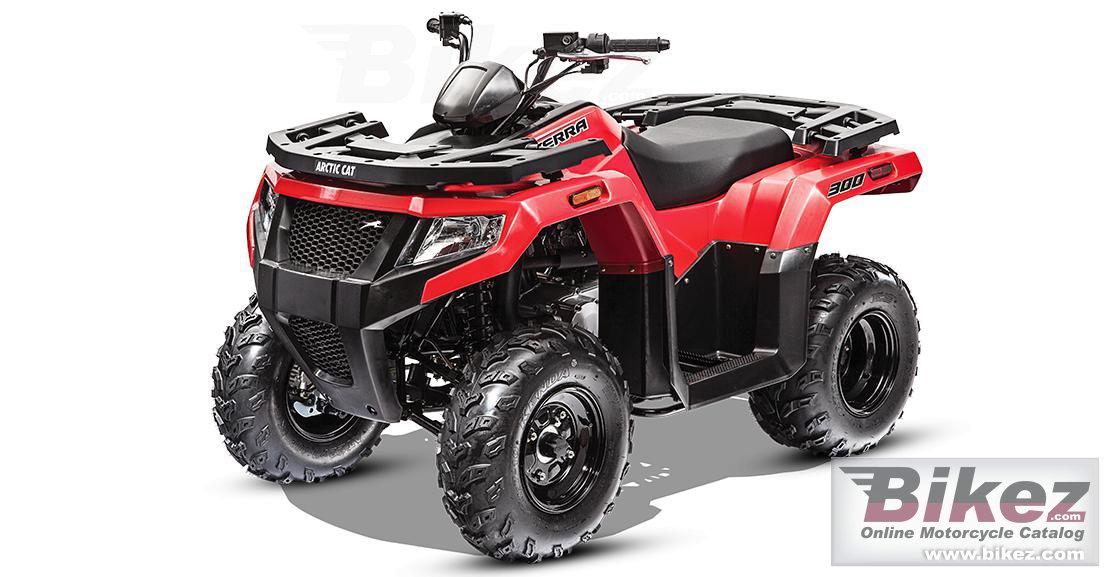 Arctic Cat Alterra 300