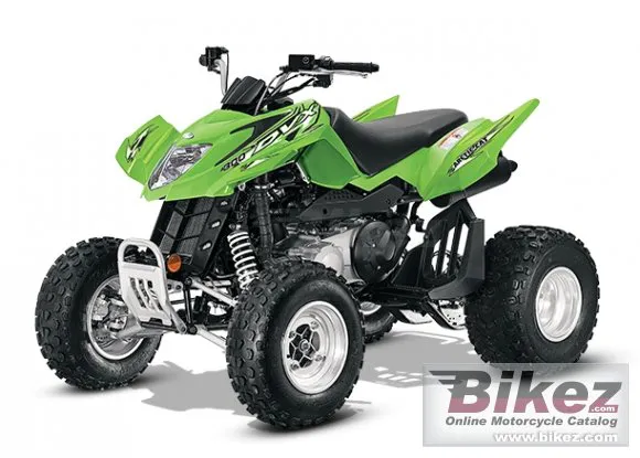 Arctic Cat DVX 300