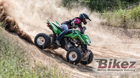 Arctic Cat DVX 300