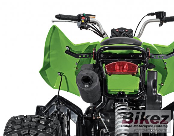 Arctic Cat DVX 300