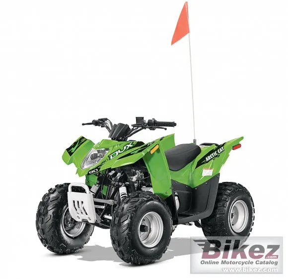 Arctic Cat DVX 90