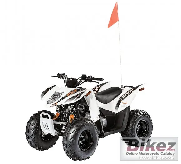 Arctic Cat DVX 90