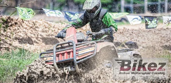 Arctic Cat Mudpro 700 Limited