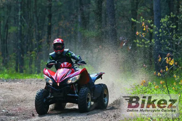 Arctic Cat XC 450i