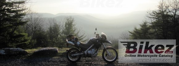 BMW F650GS