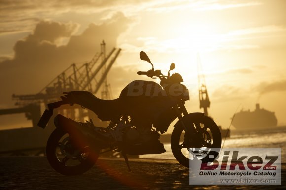 BMW G 310 R