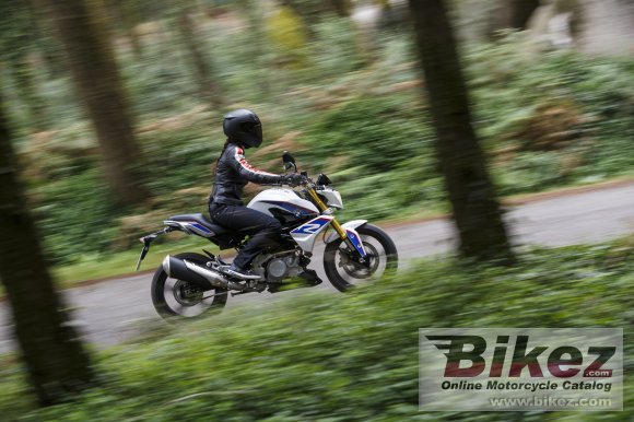 BMW G 310 R