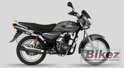 Bajaj Platina 100