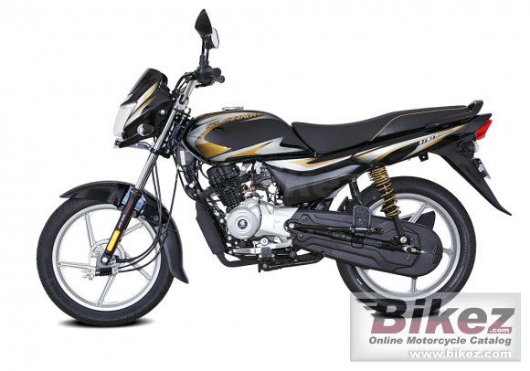 Bajaj Platina 100