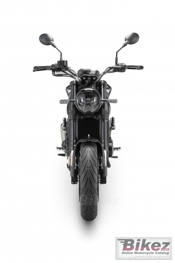 Benelli Leoncino 500