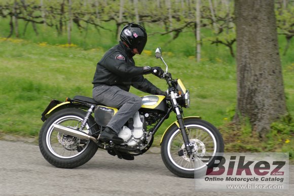 Borile B450Scrambler