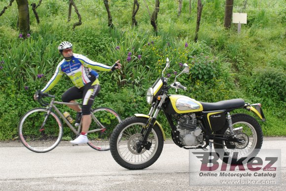 Borile B450Scrambler