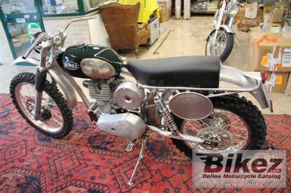 Borile B500Ricki