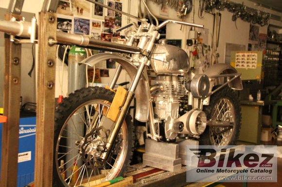 Borile B500Ricki