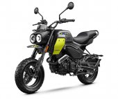 CF_Moto_Papio_CL_2025