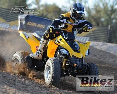 Can-Am DS 250