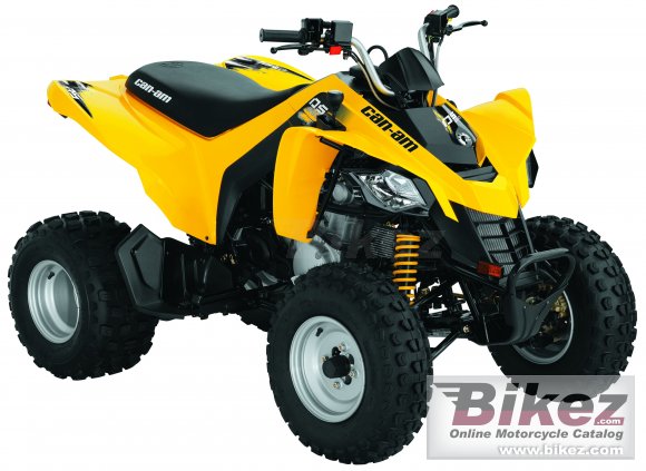 Can-Am DS 250