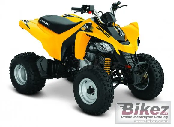 Can-Am DS 250