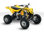 Can-Am_DS_450_EFI_2010
