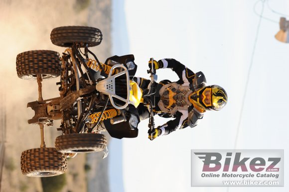 Can-Am DS 450 EFI X mx