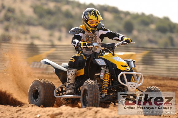 Can-Am DS 450 EFI X mx