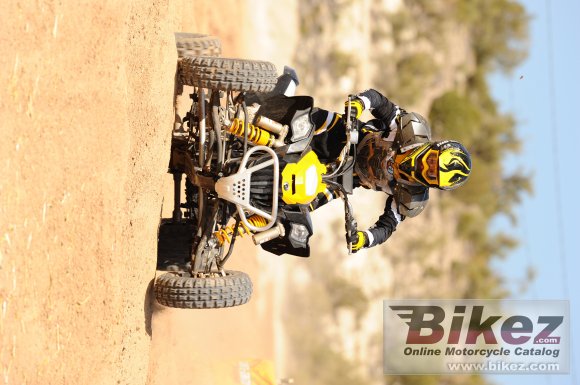 Can-Am DS 450 EFI X mx