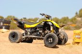 Can-Am_DS_450_EFI_X_mx_2010