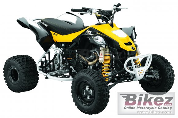 Can-Am DS 450 EFI X mx