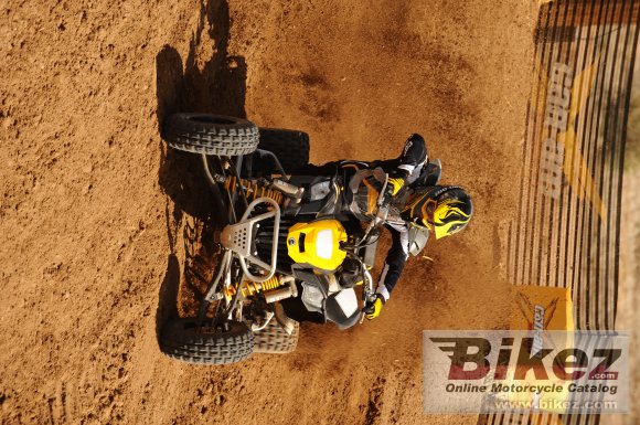 Can-Am DS 450 EFI X mx