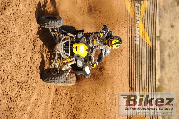 Can-Am DS 450 EFI X mx