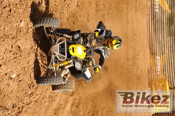 Can-Am DS 450 EFI X mx