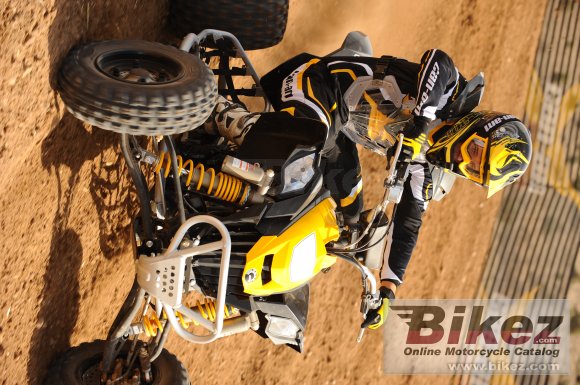 Can-Am DS 450 EFI X mx