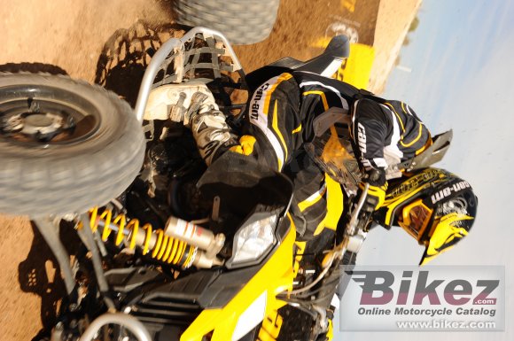 Can-Am DS 450 EFI X mx