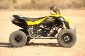 Can-Am DS 450 EFI X mx