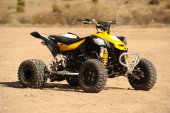 Can-Am_DS_450_EFI_X_mx_2010