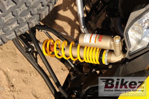 Can-Am DS 450 EFI X mx