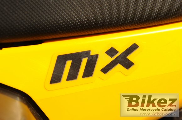 Can-Am DS 450 EFI X mx