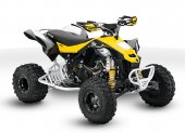 Can-Am_DS_450_EFI_X_xc_2010