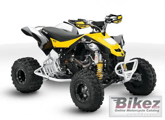 Can-Am DS 450 EFI X xc