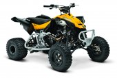 Can-Am_DS_450_X_mx_2014